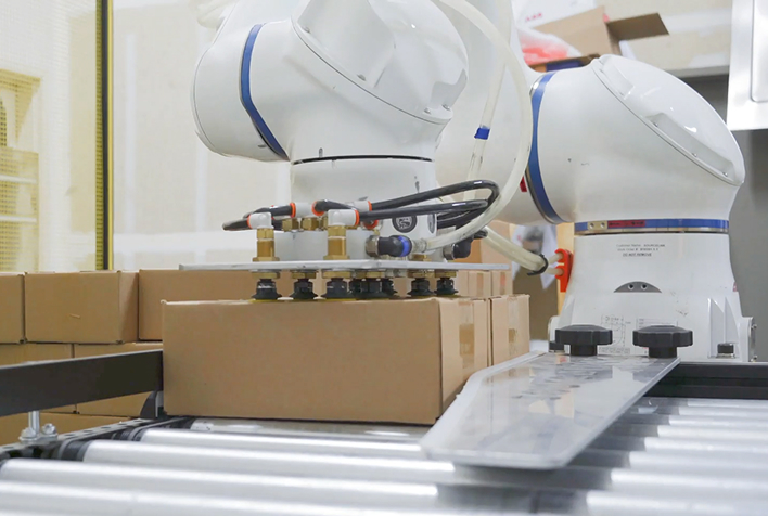 Parcel Mixed-Case Palletizing