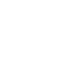 LDVP